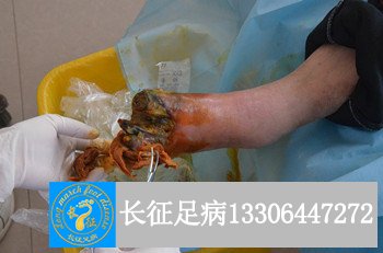 刚来_副本.jpg